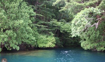青森県 グリランド体験談 十和田湖・特別保護区で見た秘境とエメラルドグリーンの湖