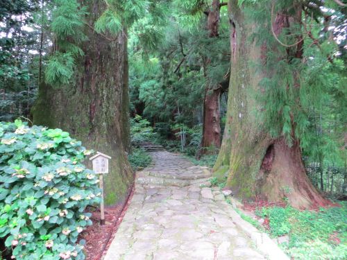 IMG_0722.jpg 熊野古道大門坂