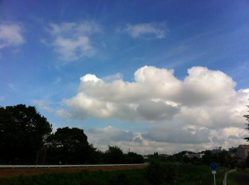 IMG_3429.jpg 空綺麗