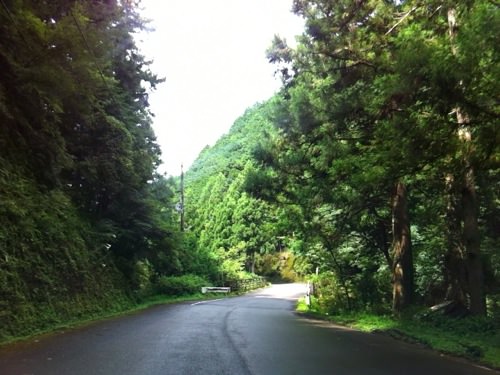 IMG_4031.jpg 百間山渓谷