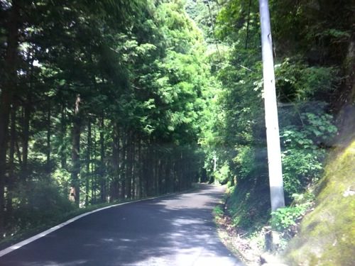IMG_4032.jpg 林道