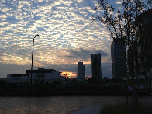 IMG_5164.jpg 空