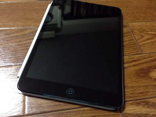 IMG_5979.jpg iPad mini