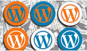 [Å] 【WP】バックアップ必須！データ飛ばしたけど「Wordpress Backup」使って数分で復旧
