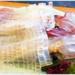 [Å] 福岡滞在2日目！福岡って何で美味しいものばっかりなの？もっと食べたかった