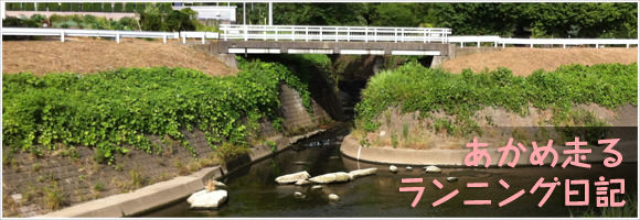 eye-running.jpg あかめ走る ランニング日記
