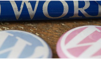 [Å] ちょっと待って！WPTouchをカスタマイズする前に必ずやりたい1つのこと