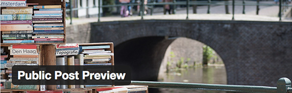 public-post-preview.jpg Public post preview
