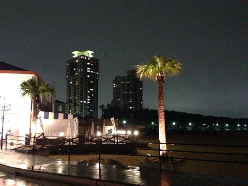 海