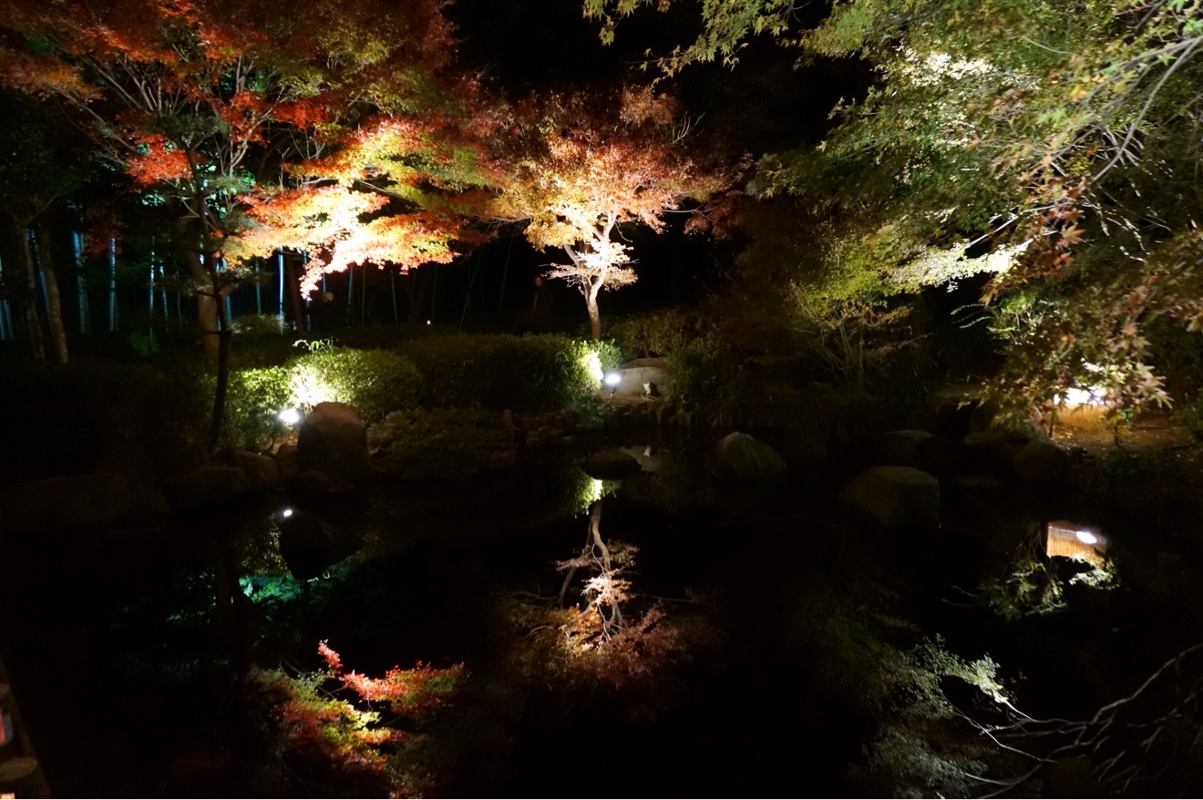 手持ち夜景機能