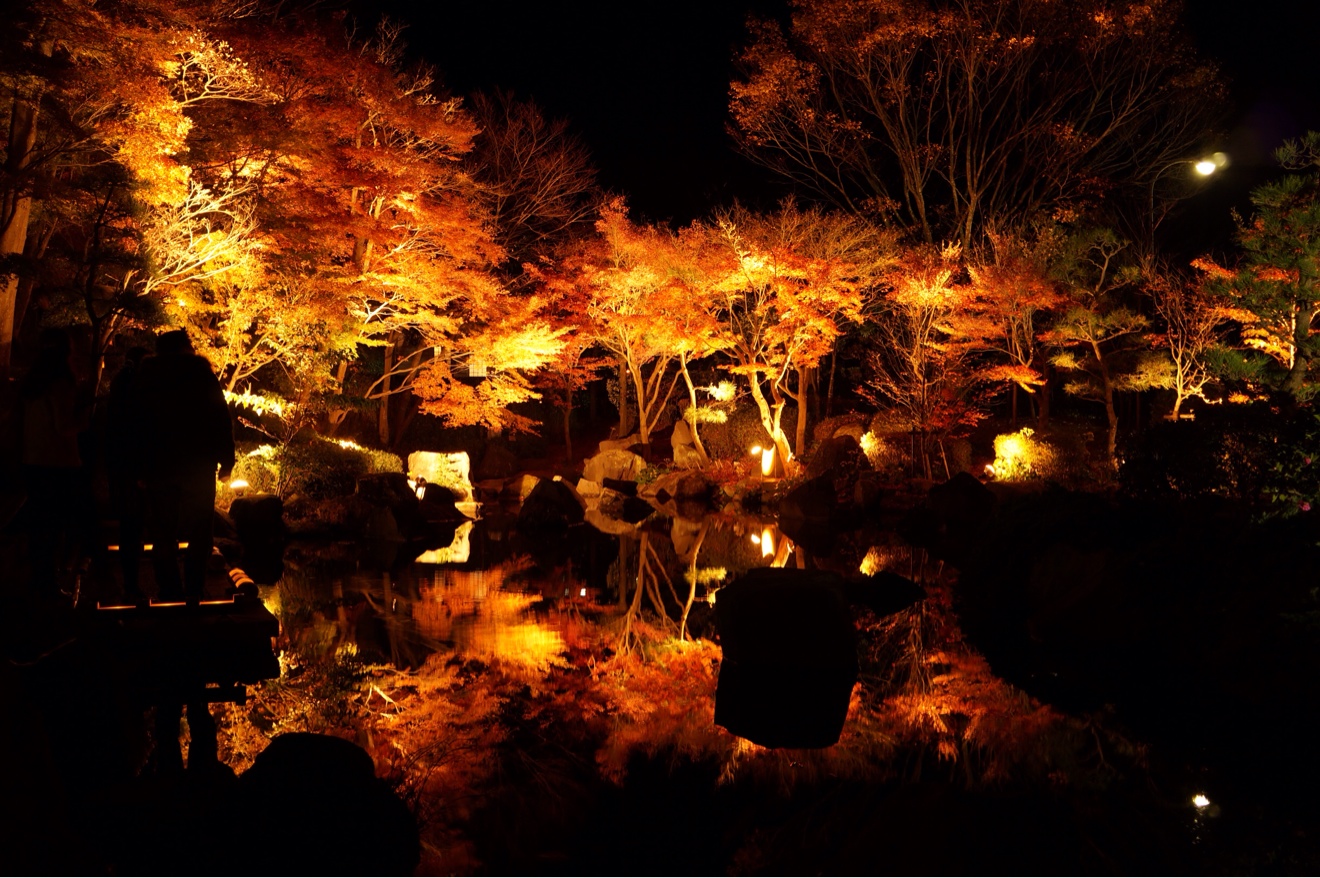 水面に映る紅葉ライトアップ