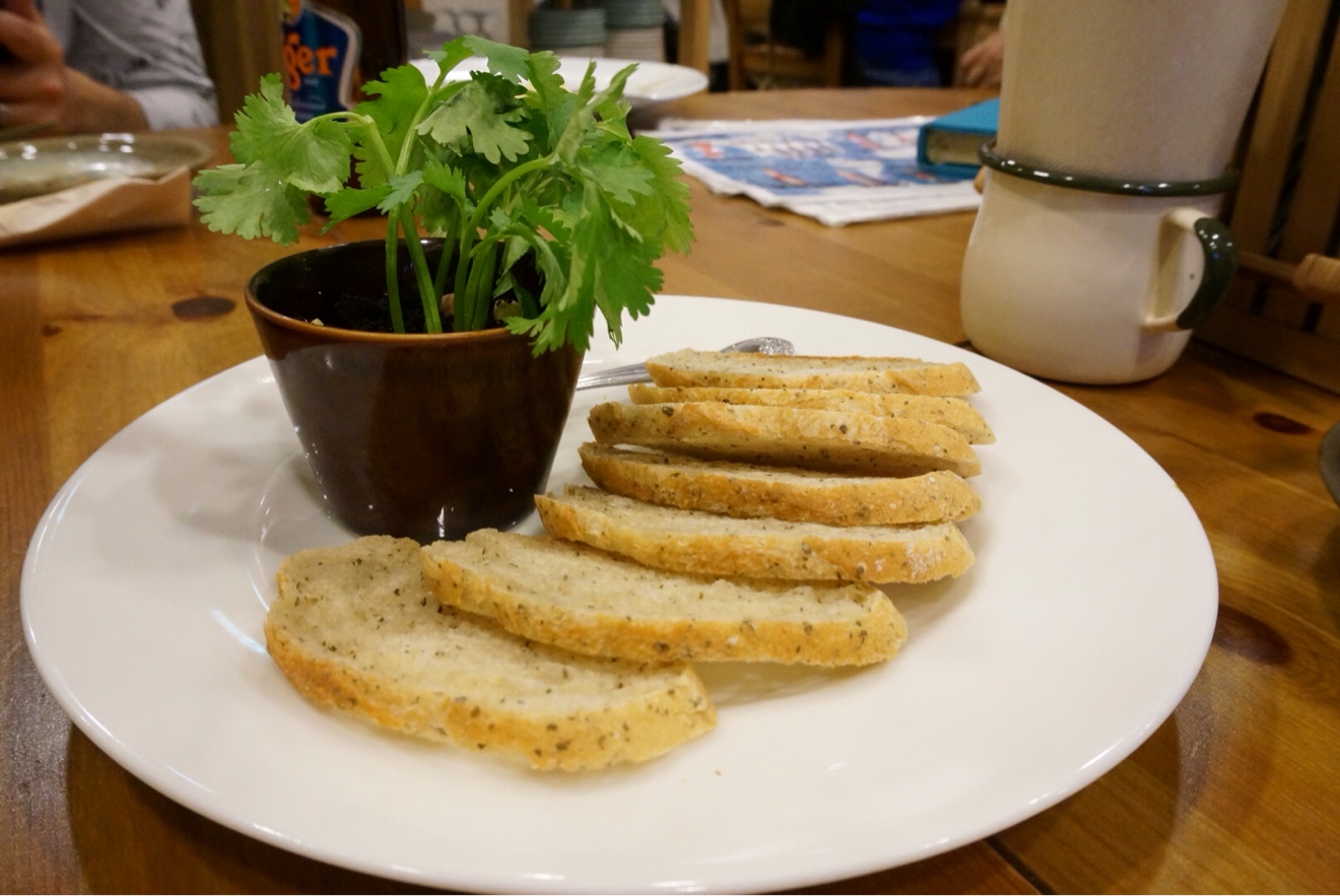 パクチーズの植木鉢